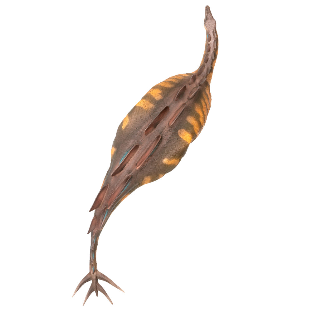 PNSO Xilin the Wuerhosaurus