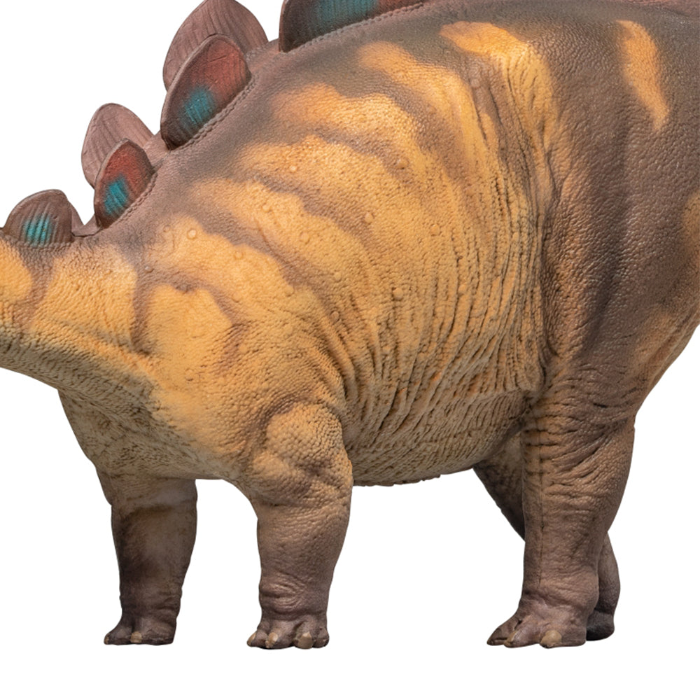 PNSO Xilin the Wuerhosaurus