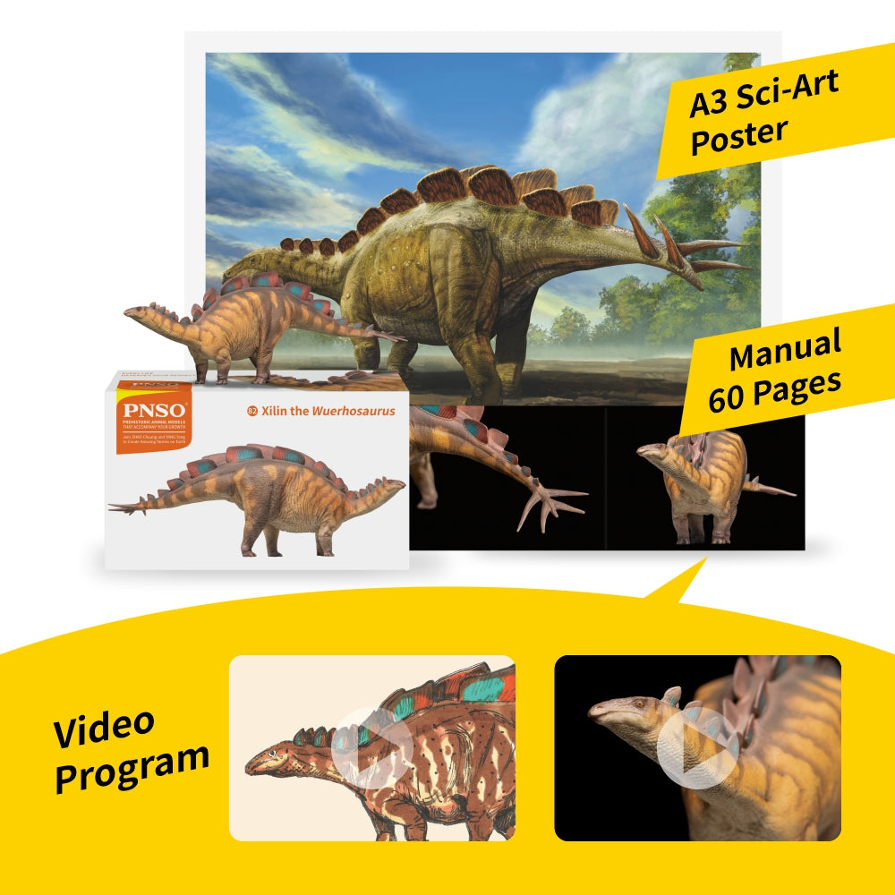 PNSO Xilin the Wuerhosaurus