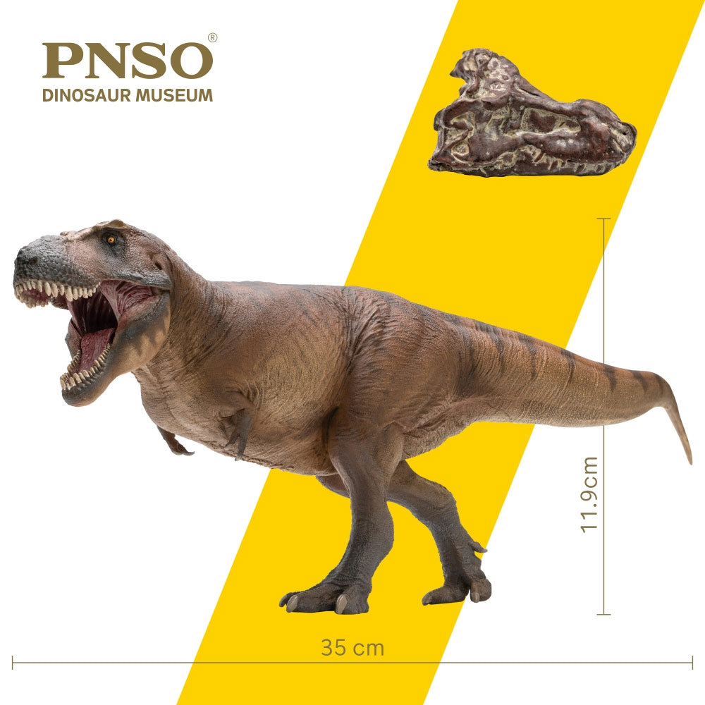 PNSO Cameron the Tyrannosaurus rex