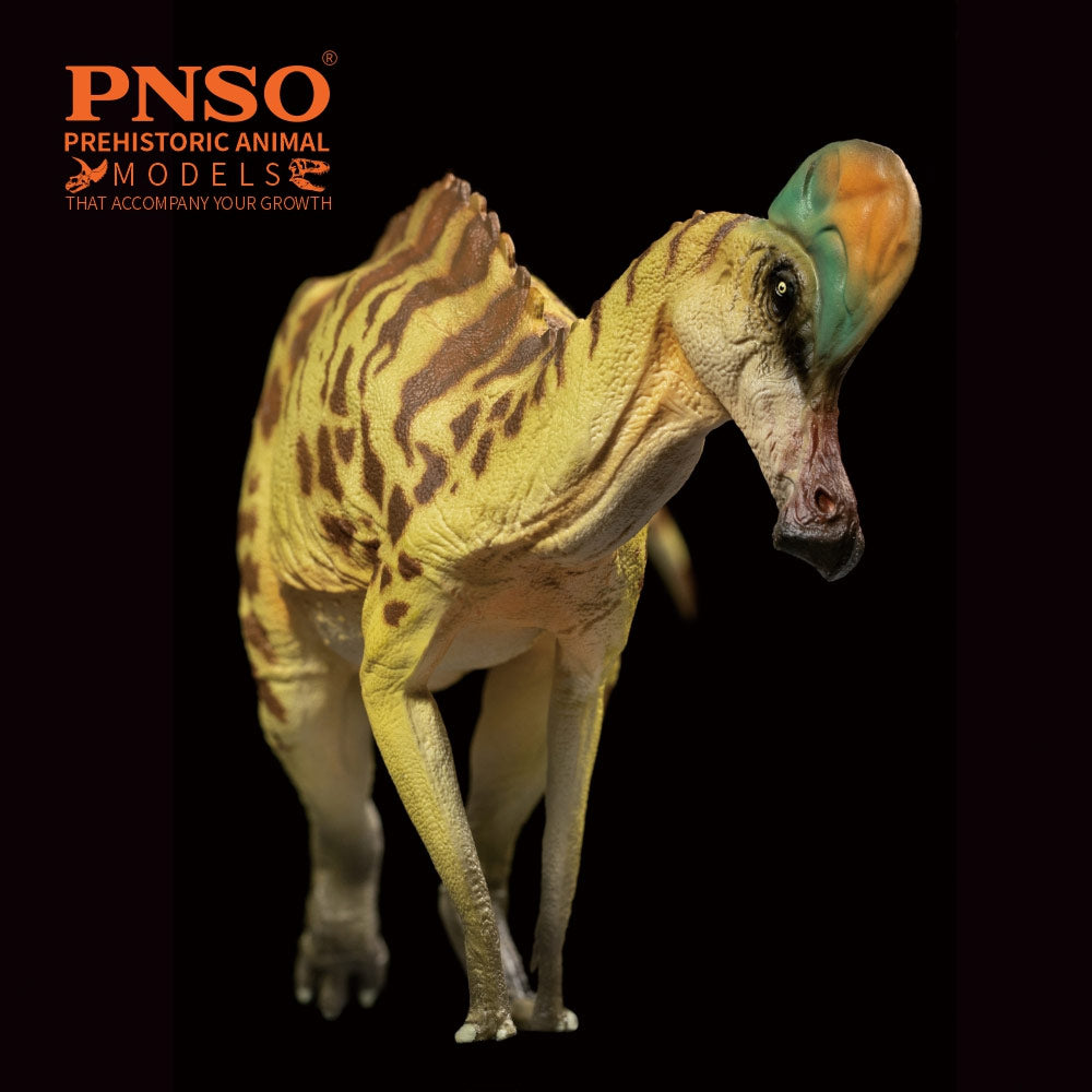 PNSO Caroline the Corythosaurus