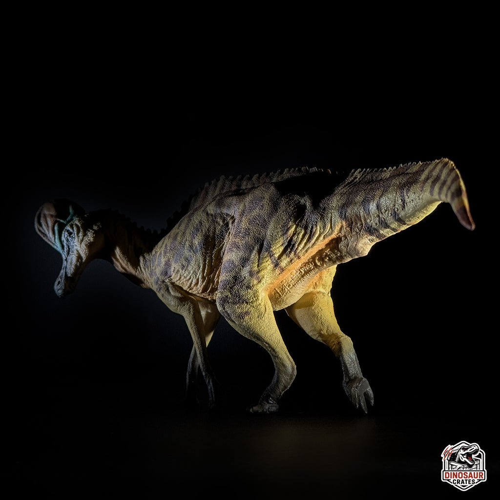 PNSO Caroline the Corythosaurus