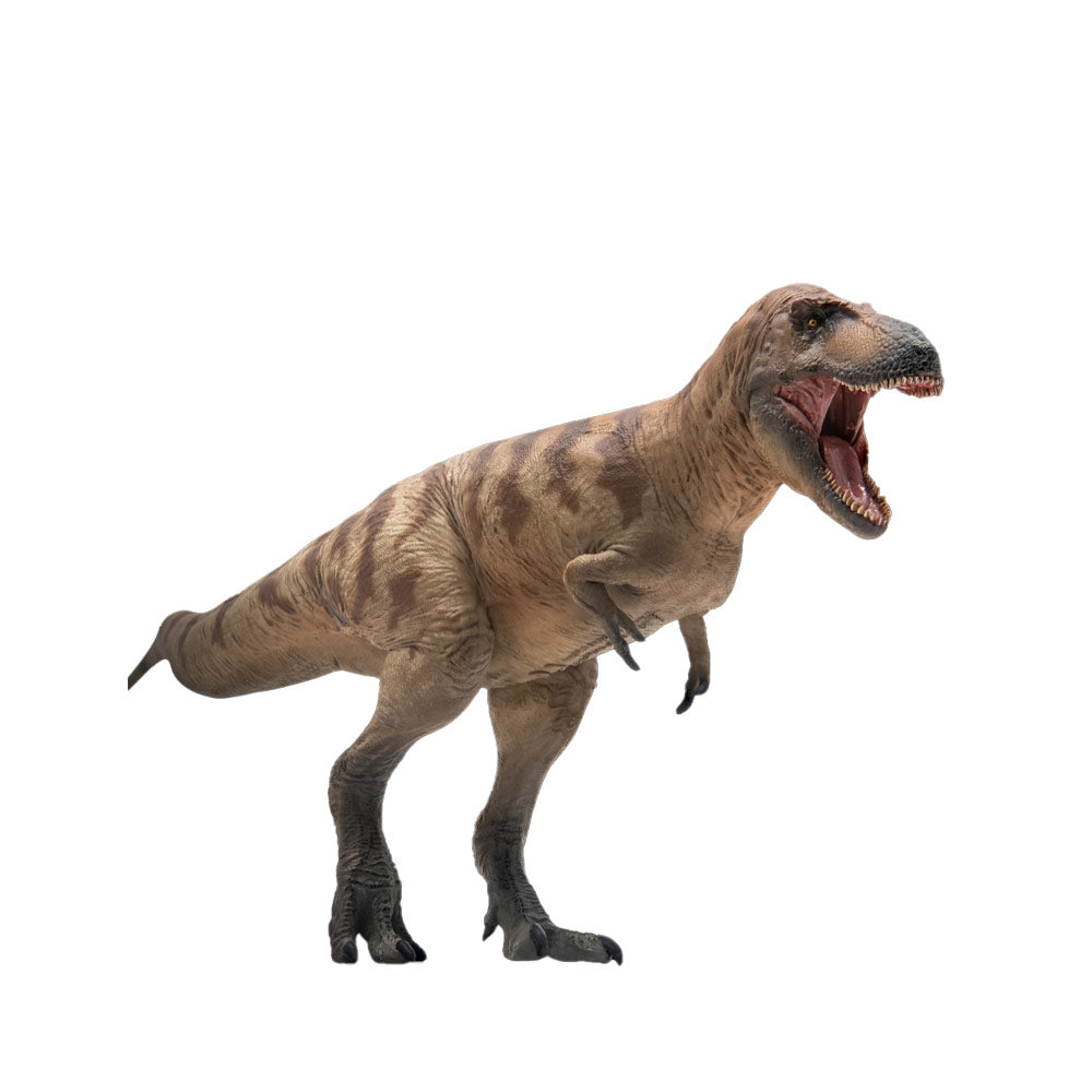 PNSO Cole the Daspletosaurus