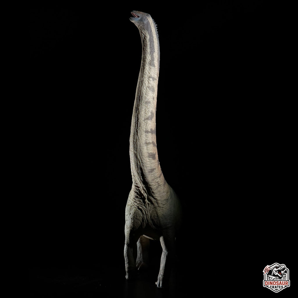 PNSO Huigui the Hongkongsaurus