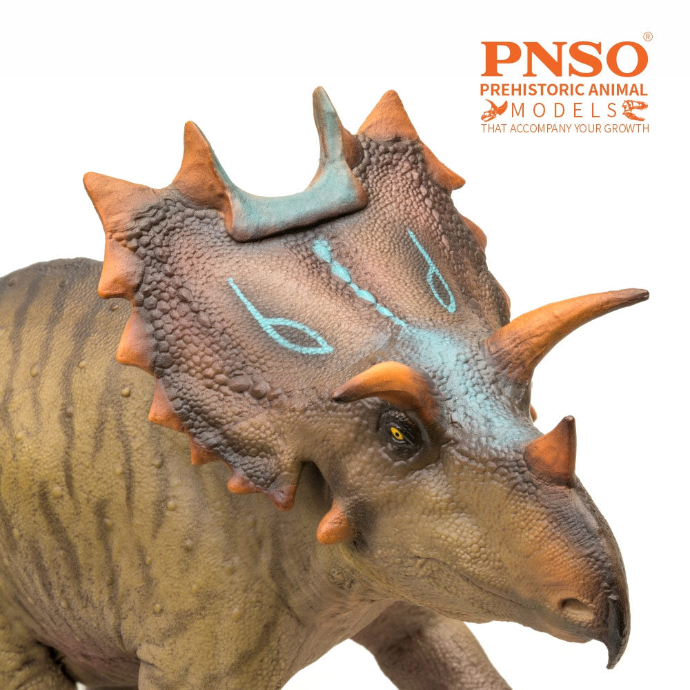 PNSO Judith the Spiclypeus