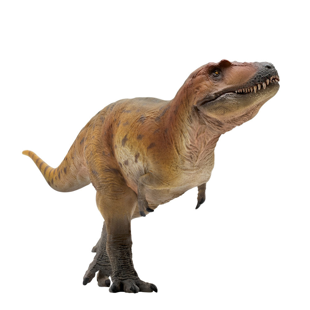 PNSO Keynes the Lythronax