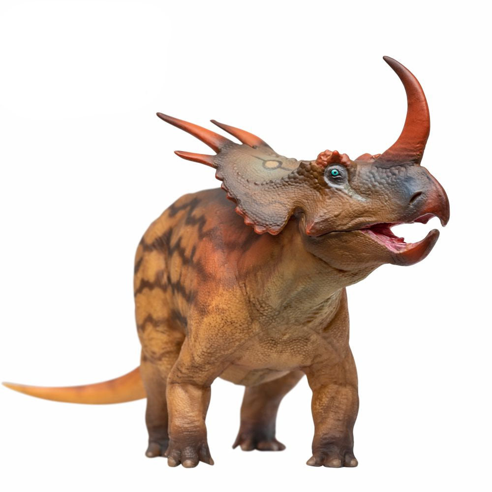 PNSO Stella the Stellasaurus
