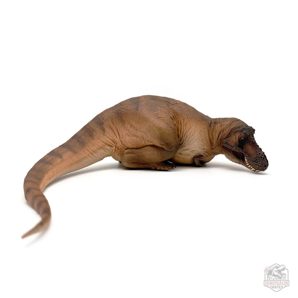 PNSO Andrea the Female Tyrannosaurus