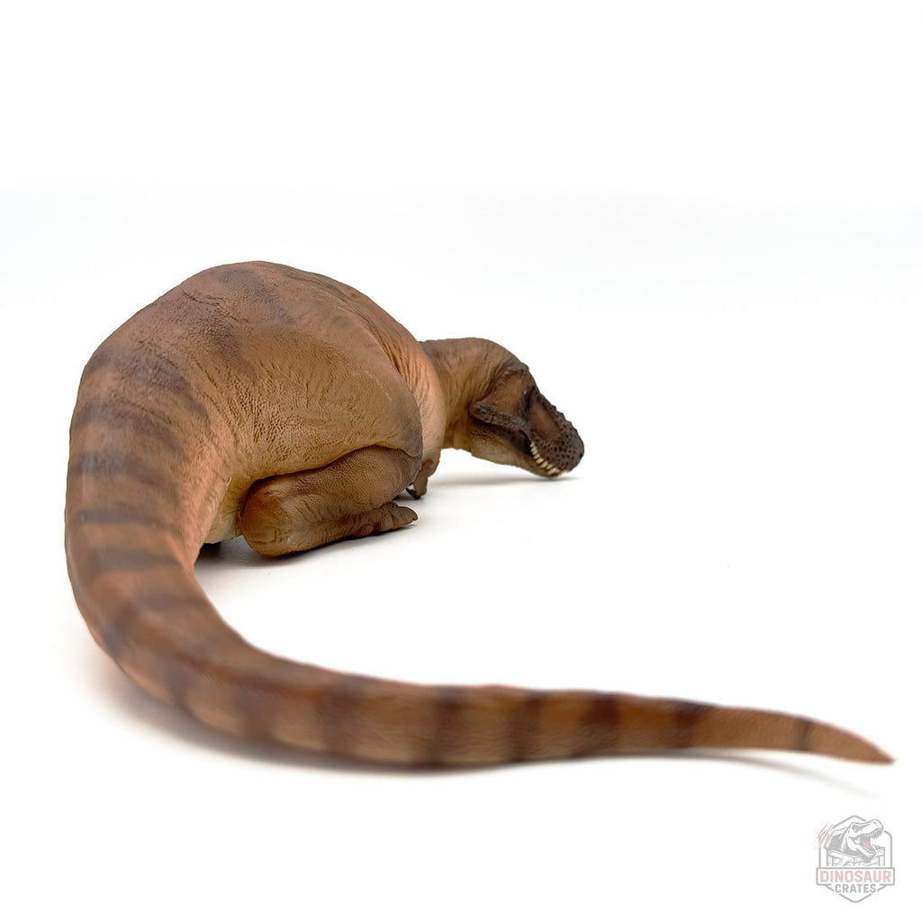 PNSO Andrea the Female Tyrannosaurus