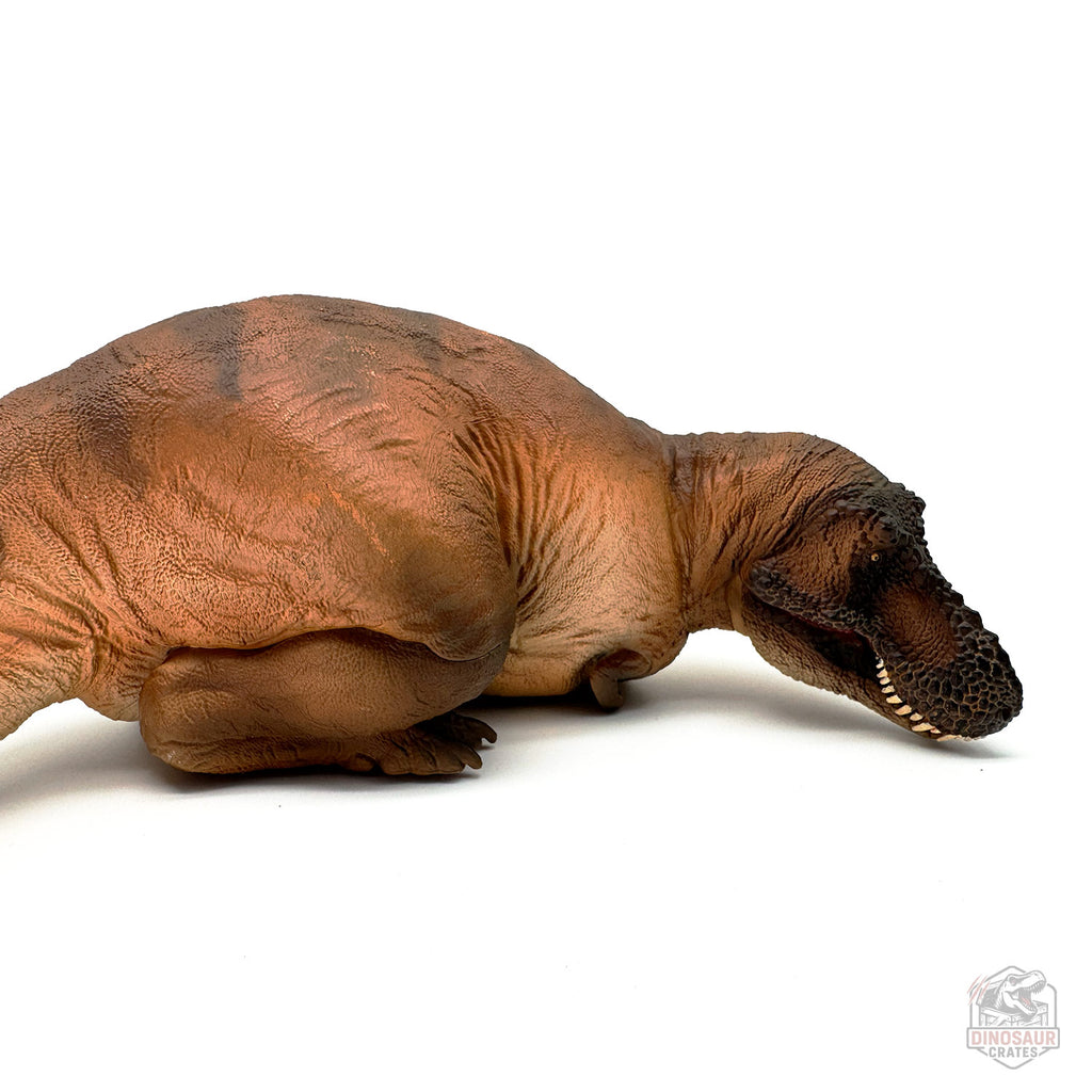 PNSO Andrea the Female Tyrannosaurus