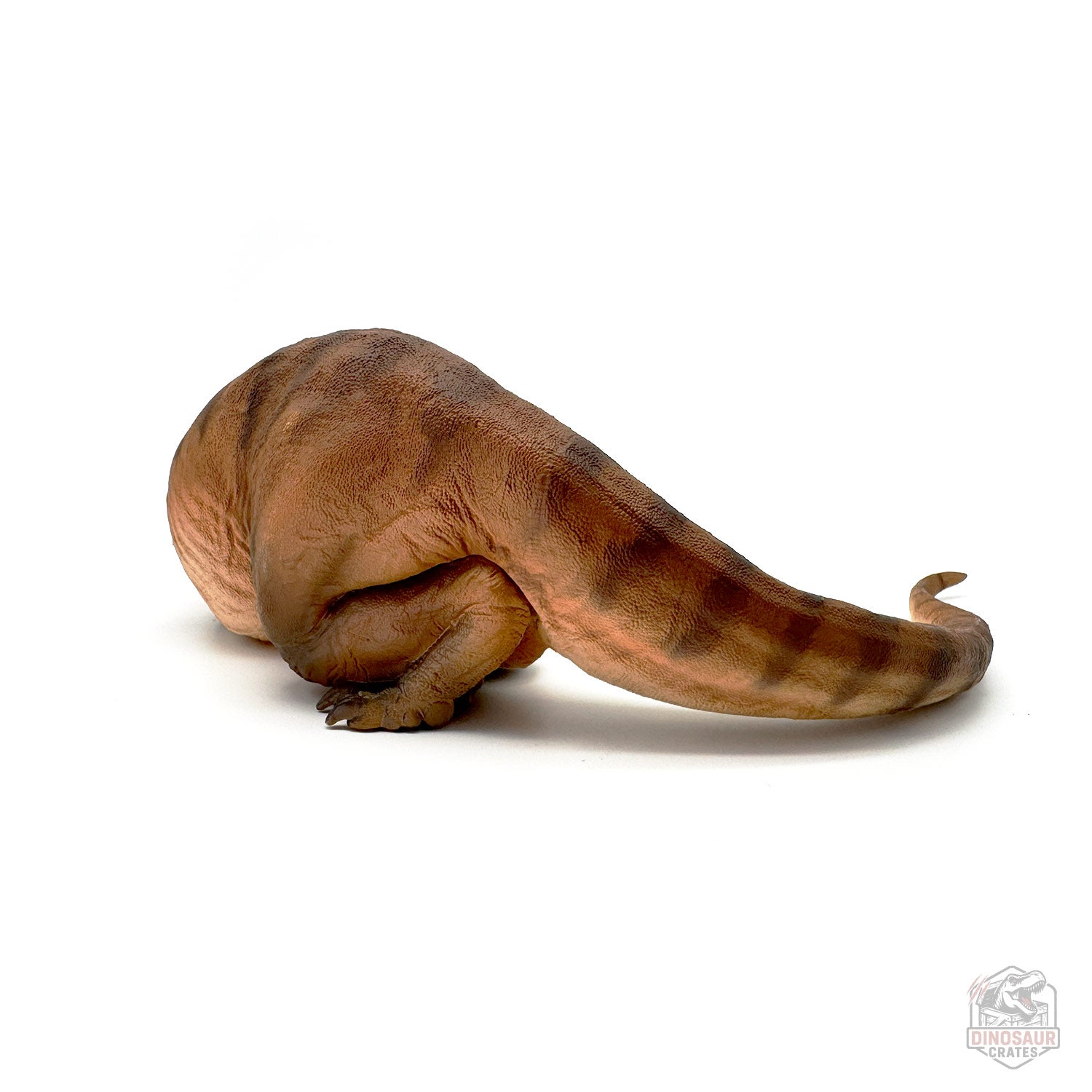 PNSO Andrea the Female Tyrannosaurus