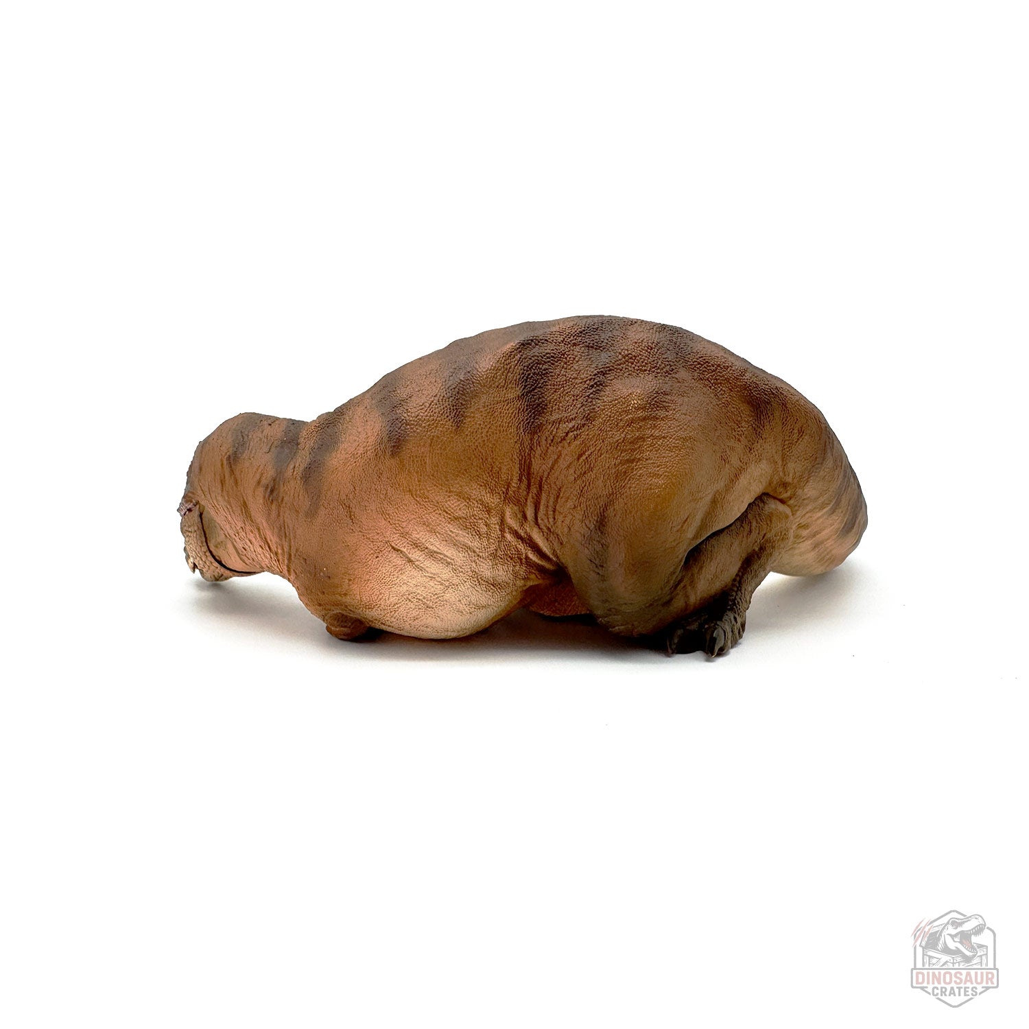 PNSO Andrea the Female Tyrannosaurus