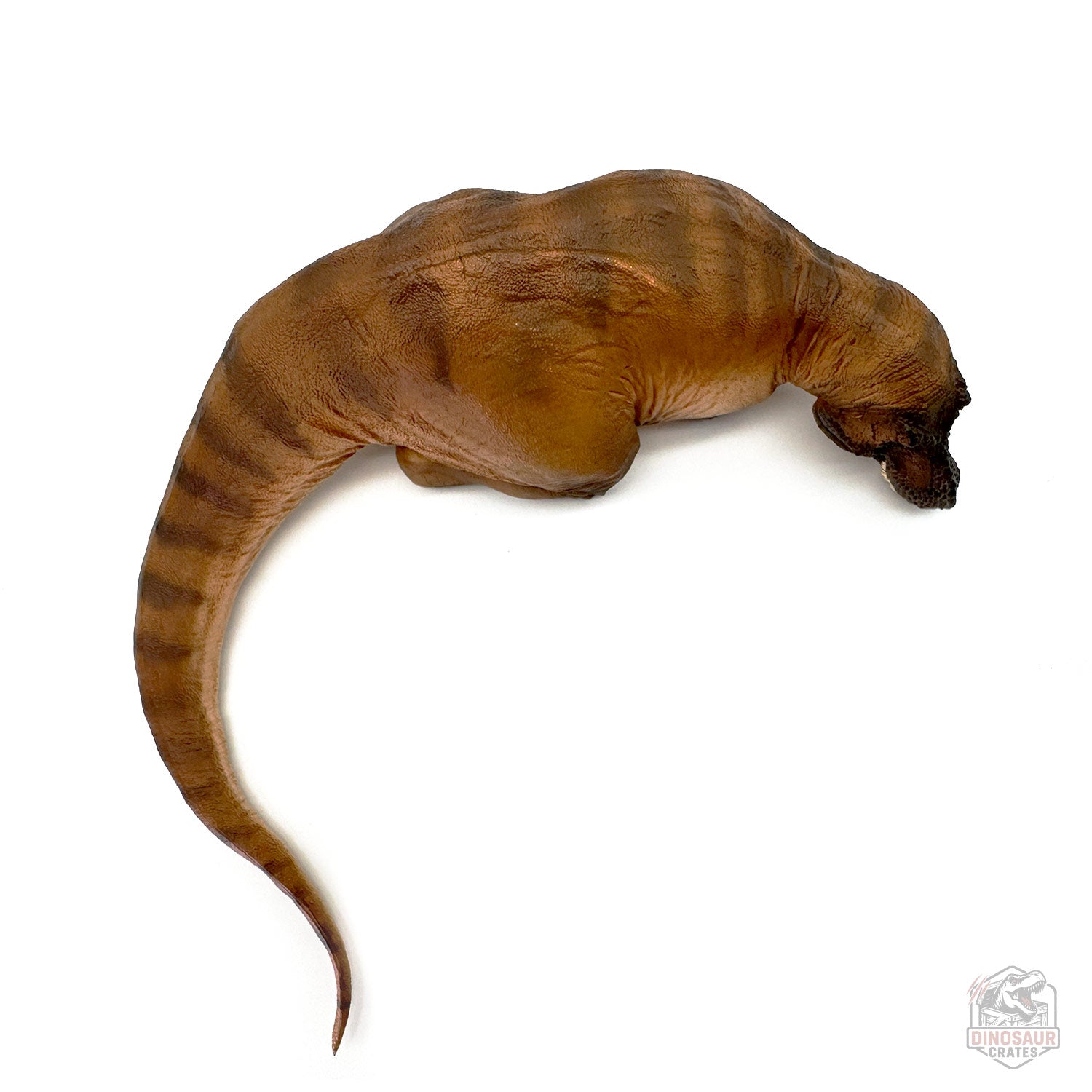 PNSO Andrea the Female Tyrannosaurus