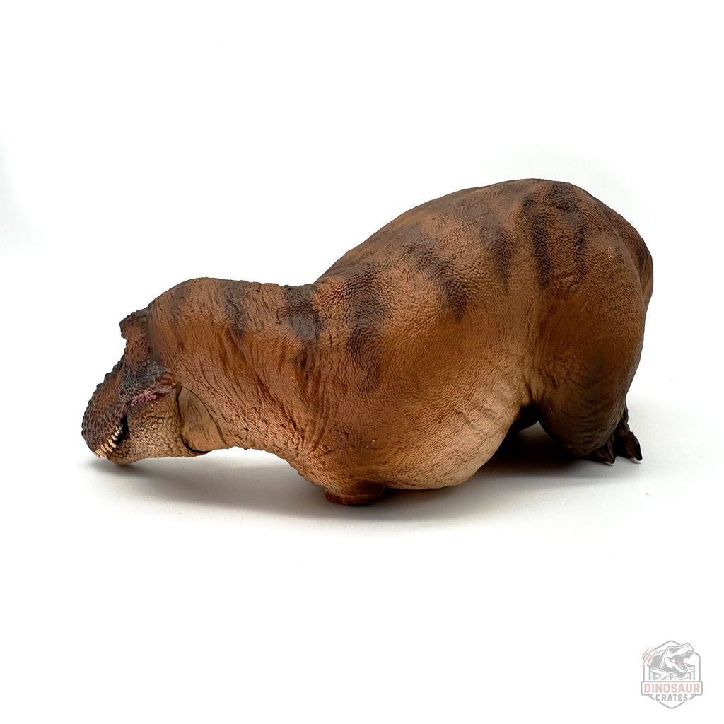 PNSO Andrea the Female Tyrannosaurus