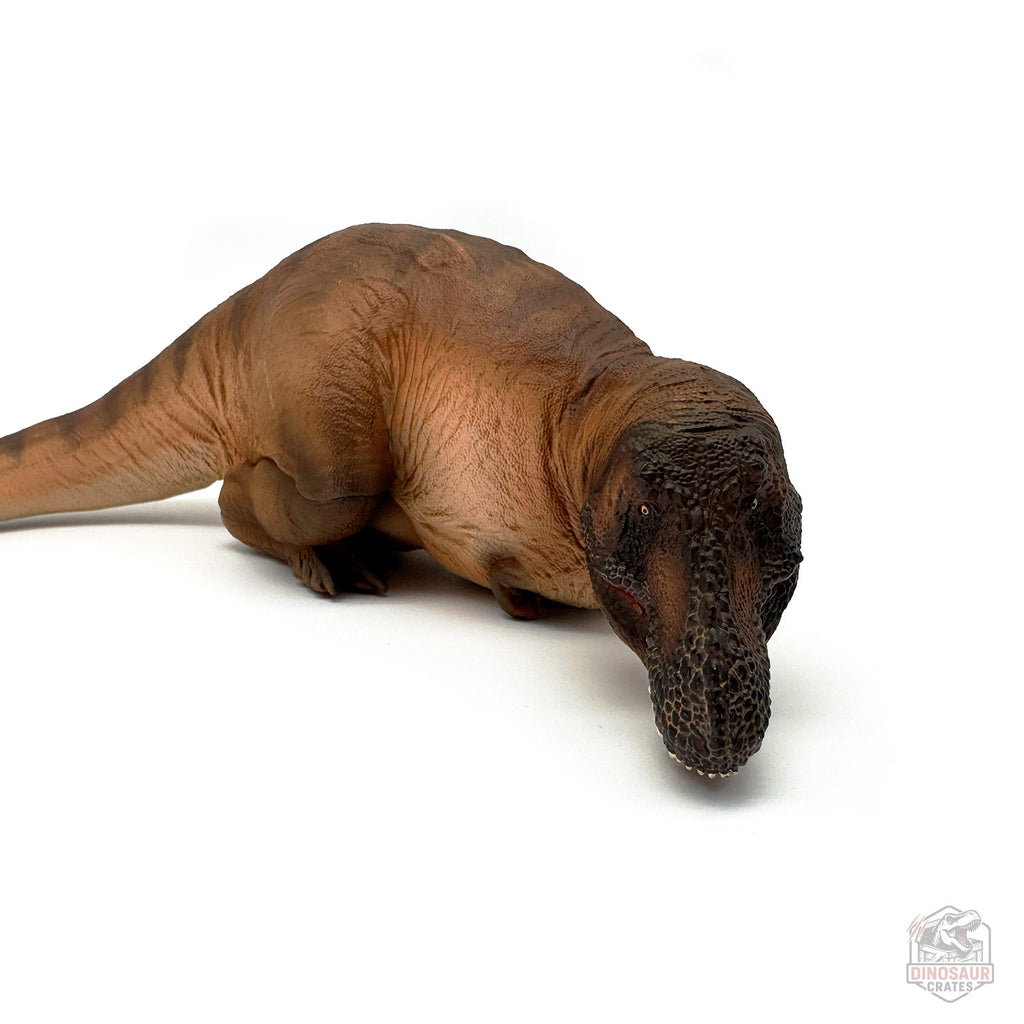 PNSO Andrea the Female Tyrannosaurus