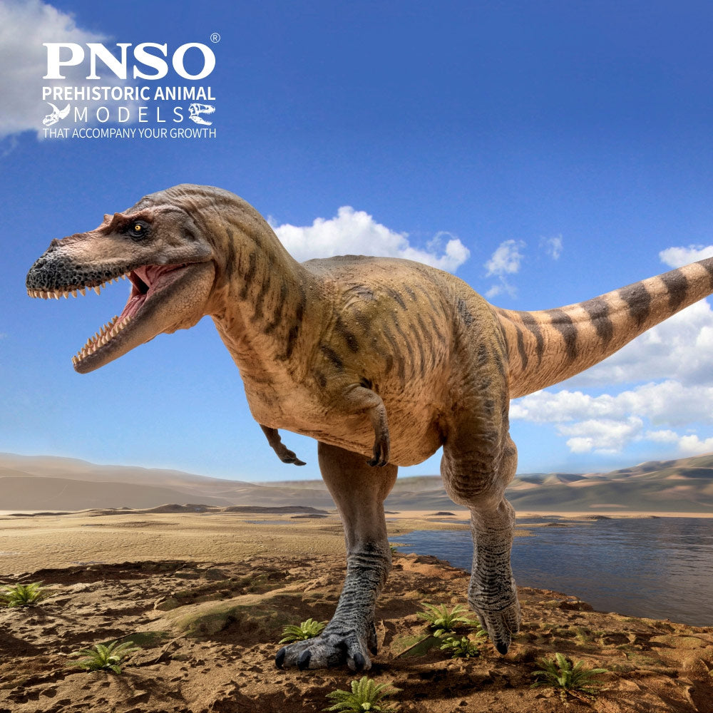 PNSO Wally the Albertosaurus