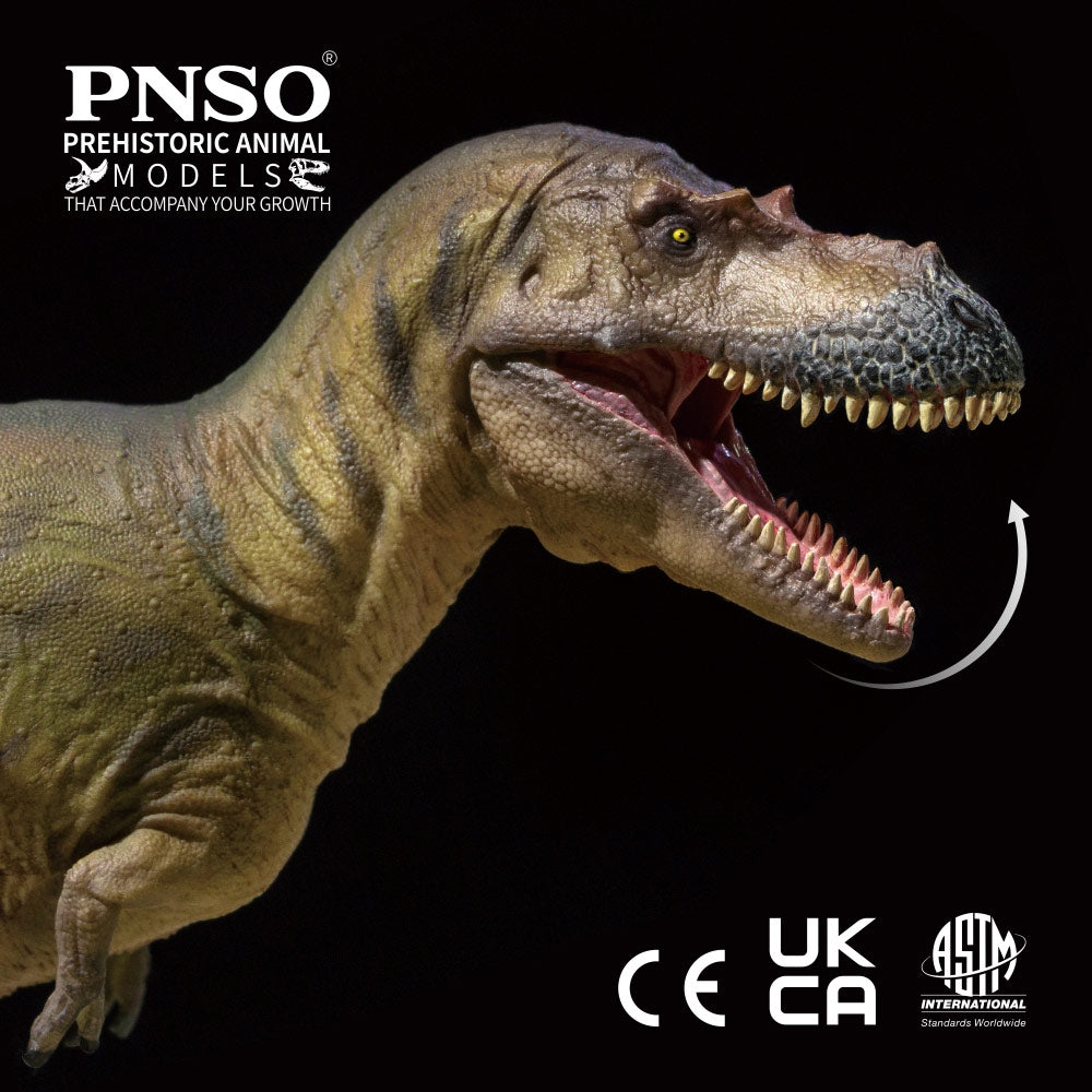 PNSO Wally the Albertosaurus
