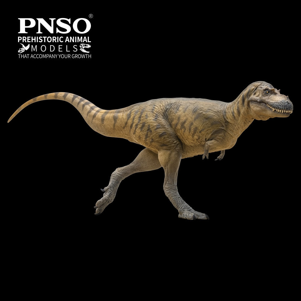 PNSO Wally the Albertosaurus