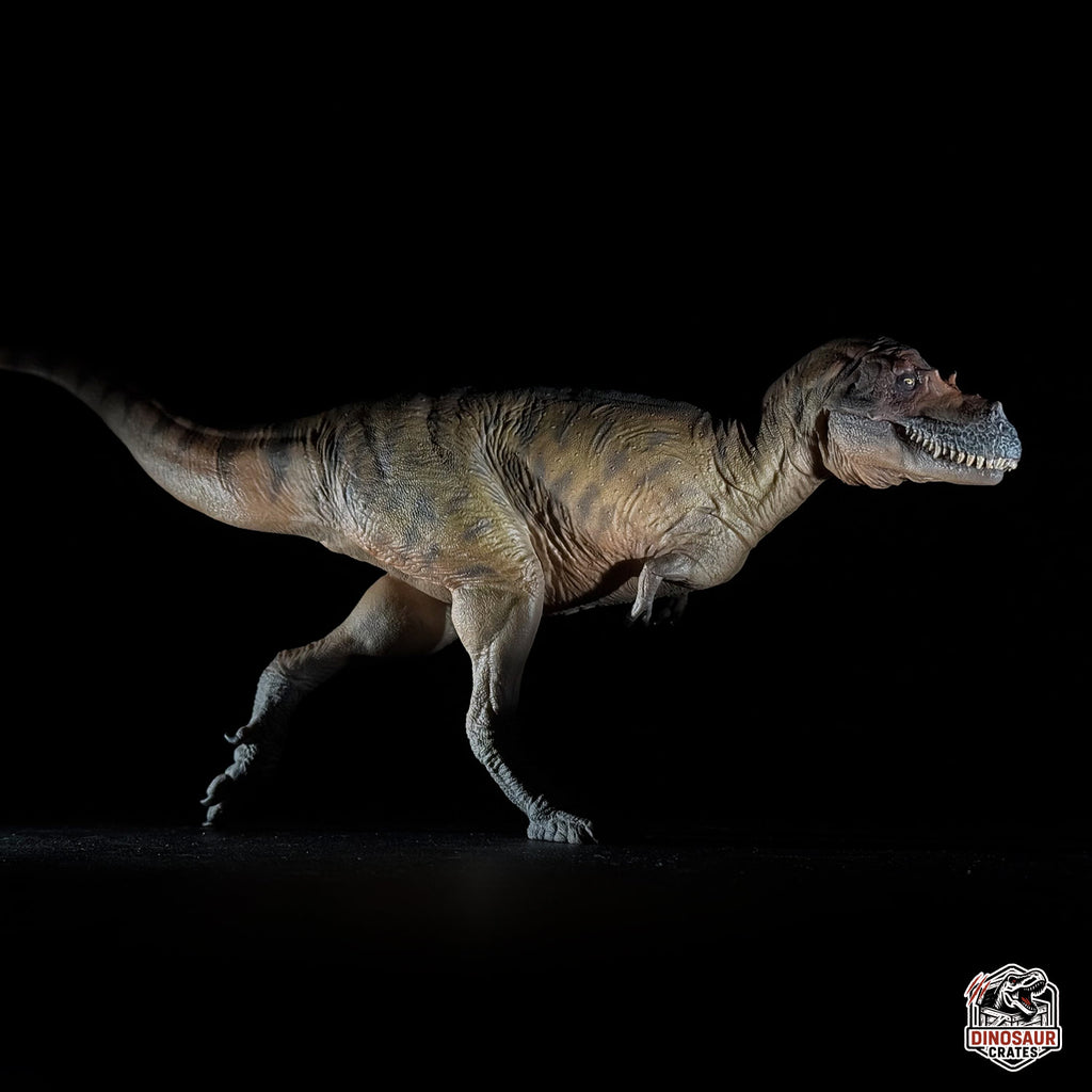 PNSO Wally the Albertosaurus