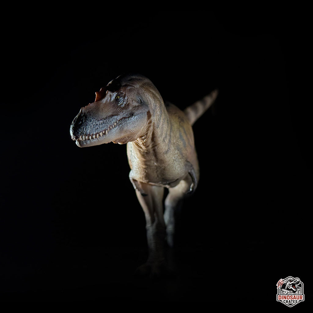 PNSO Wally the Albertosaurus