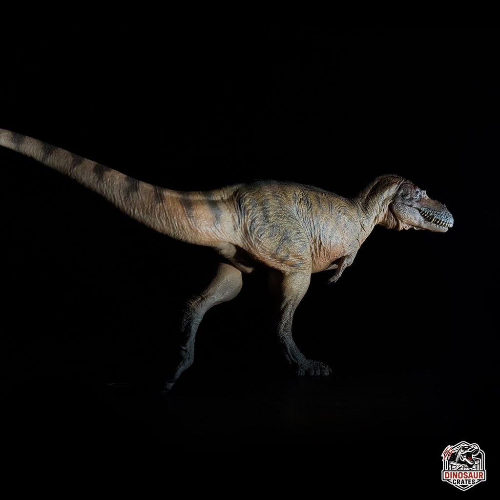 PNSO Wally the Albertosaurus