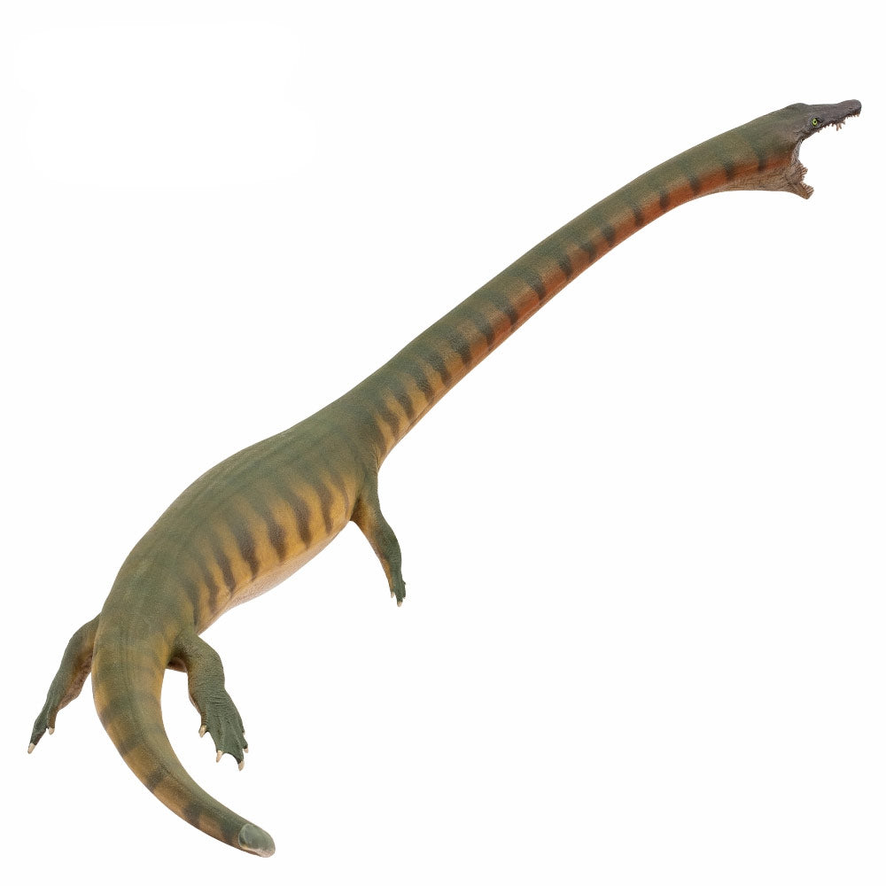 PNSO Xiaochong the Dinocephalosaurus