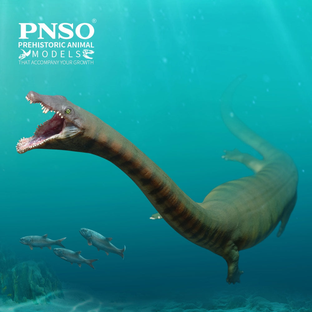 PNSO Xiaochong the Dinocephalosaurus
