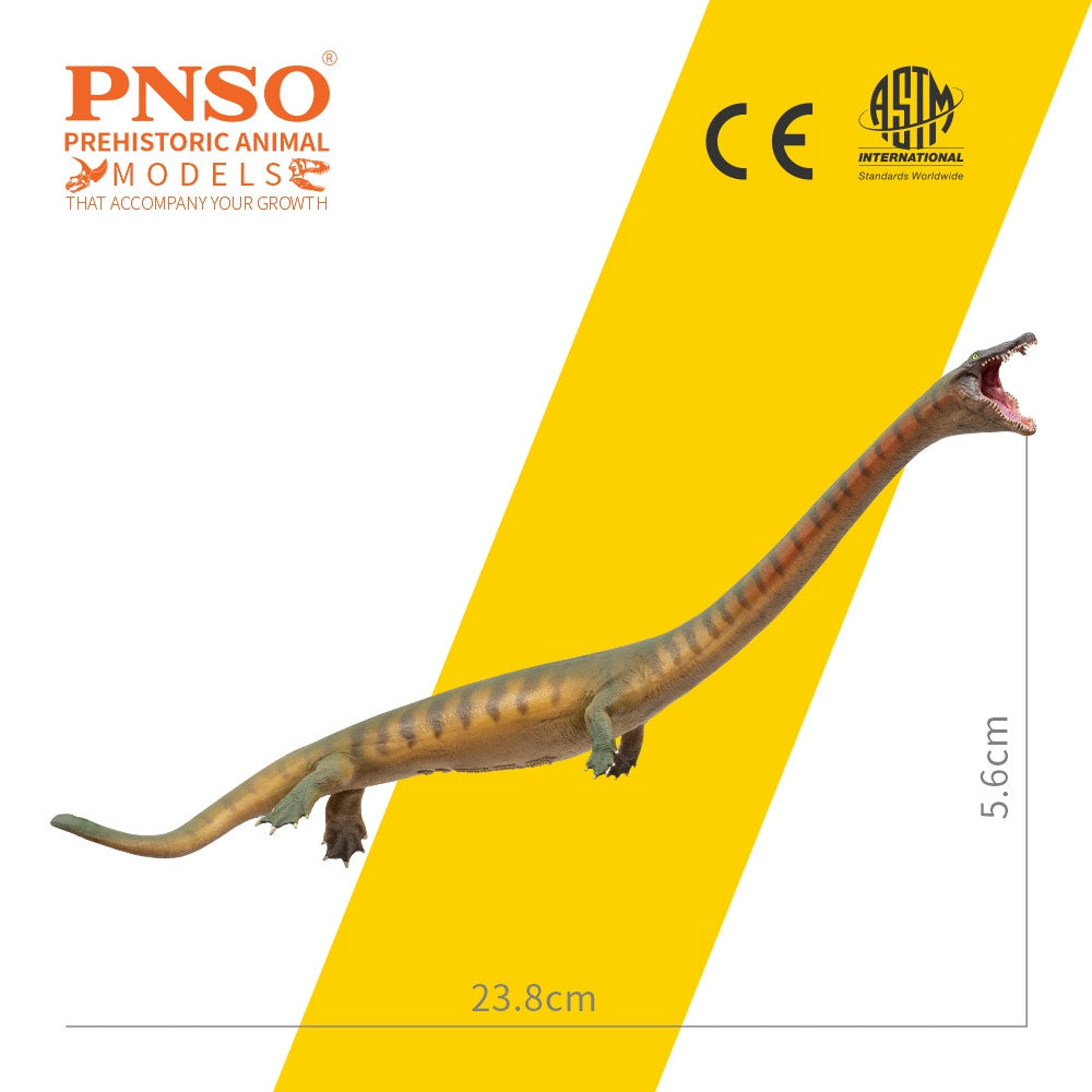 PNSO Xiaochong the Dinocephalosaurus