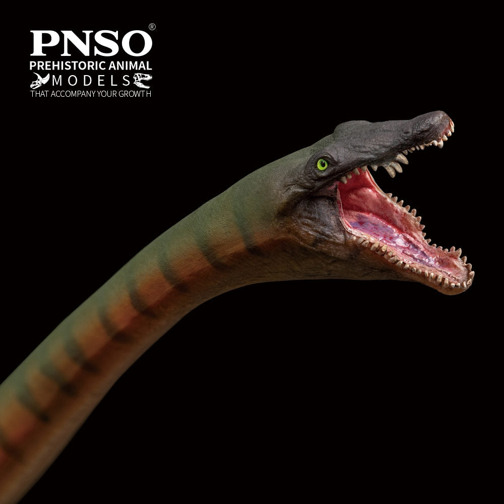 PNSO Xiaochong the Dinocephalosaurus