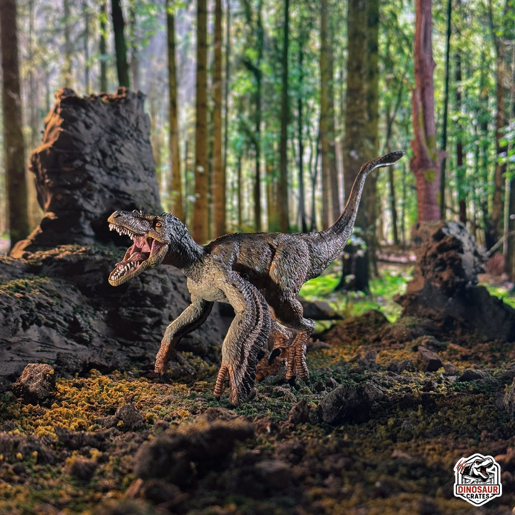 Figurine de dinosaure Vélociraptor à plumes Papo