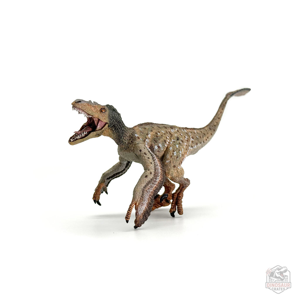Figurine de dinosaure Vélociraptor à plumes Papo