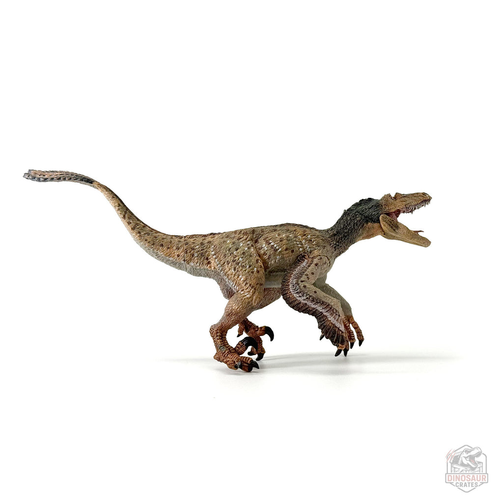 Figurine de dinosaure Vélociraptor à plumes Papo