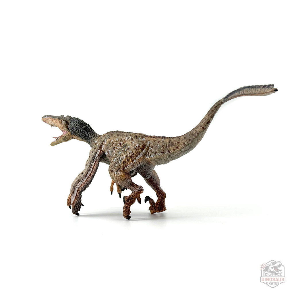 Figurine de dinosaure Vélociraptor à plumes Papo