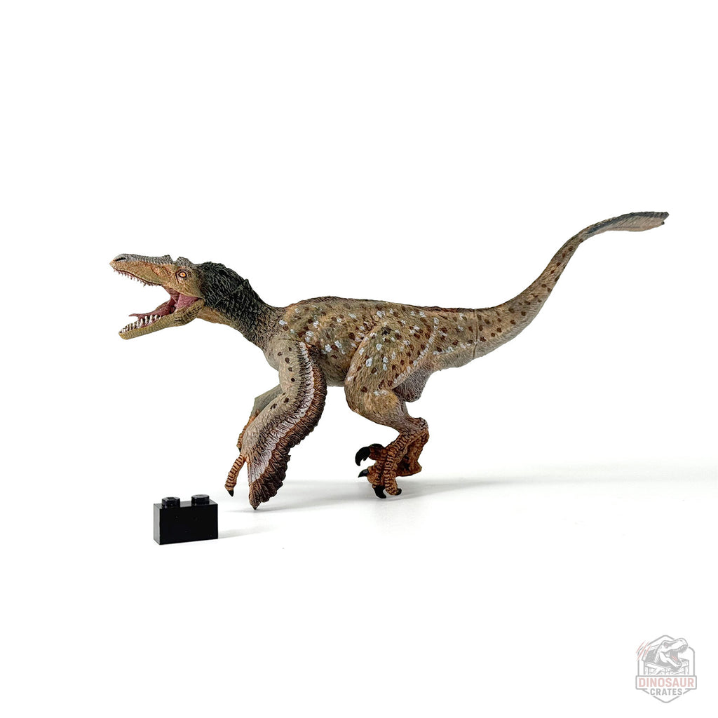 Figurine de dinosaure Vélociraptor à plumes Papo