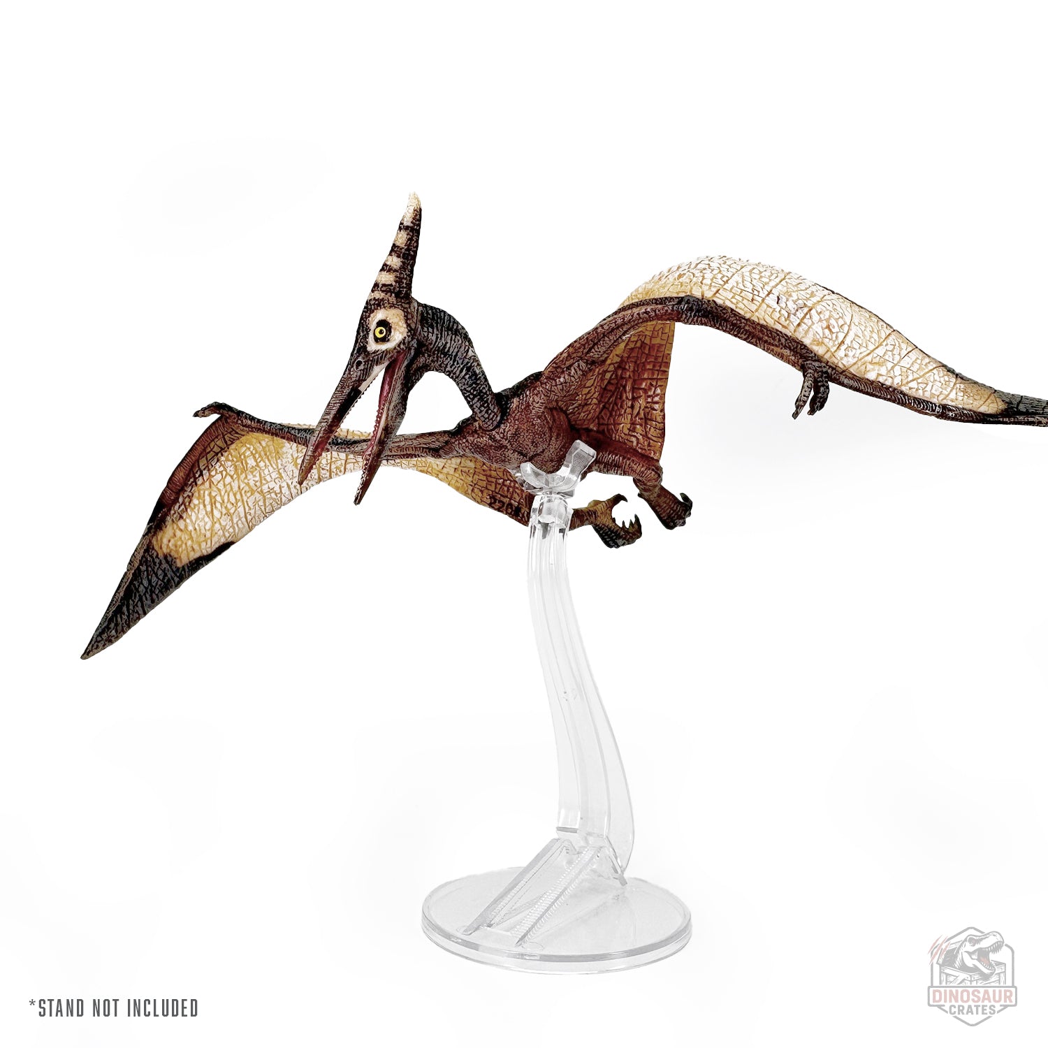 Papo Pteranodon Figure 55006 – Dinosaur Crates