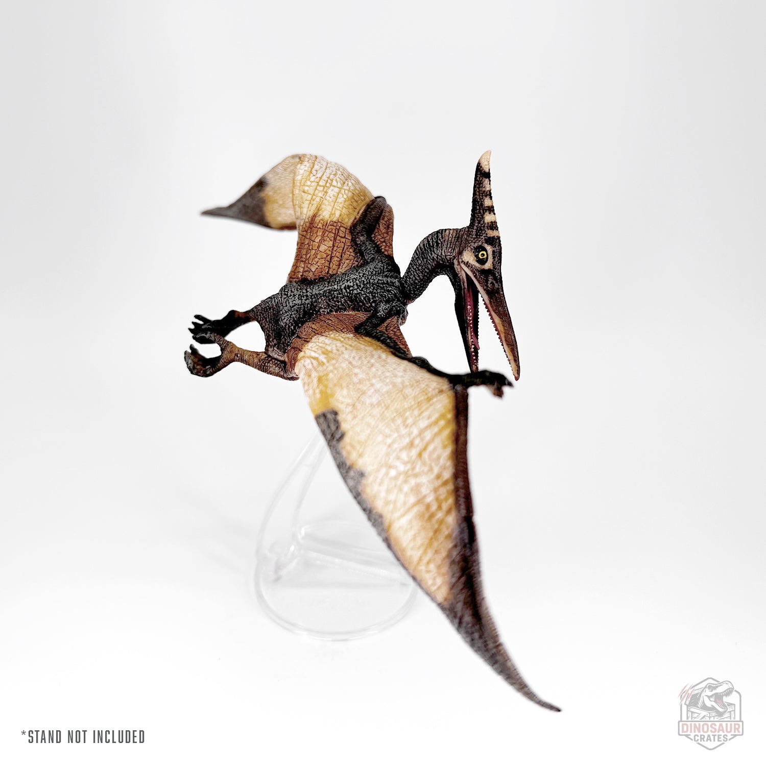 Papo Pteranodon Figure 55006