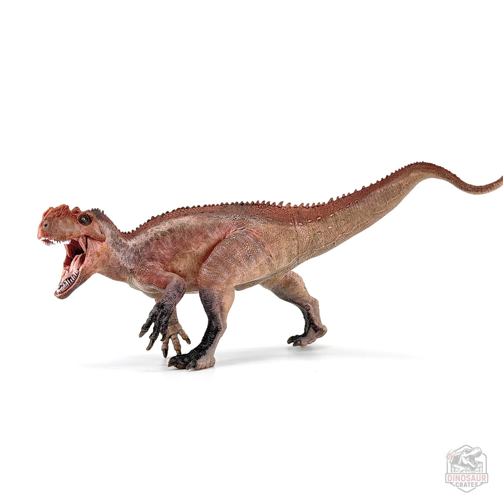 Papo Yangchuanosaurus  Dinosaur Figure