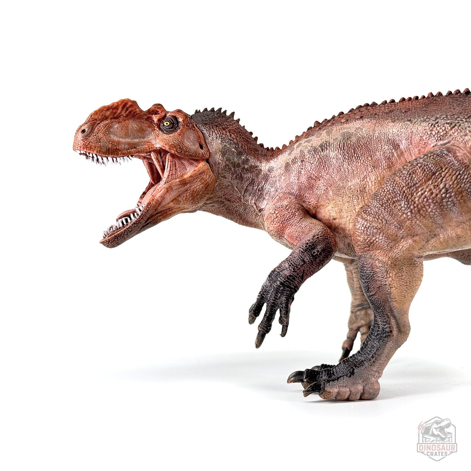 Papo Yangchuanosaurus  Dinosaur Figure
