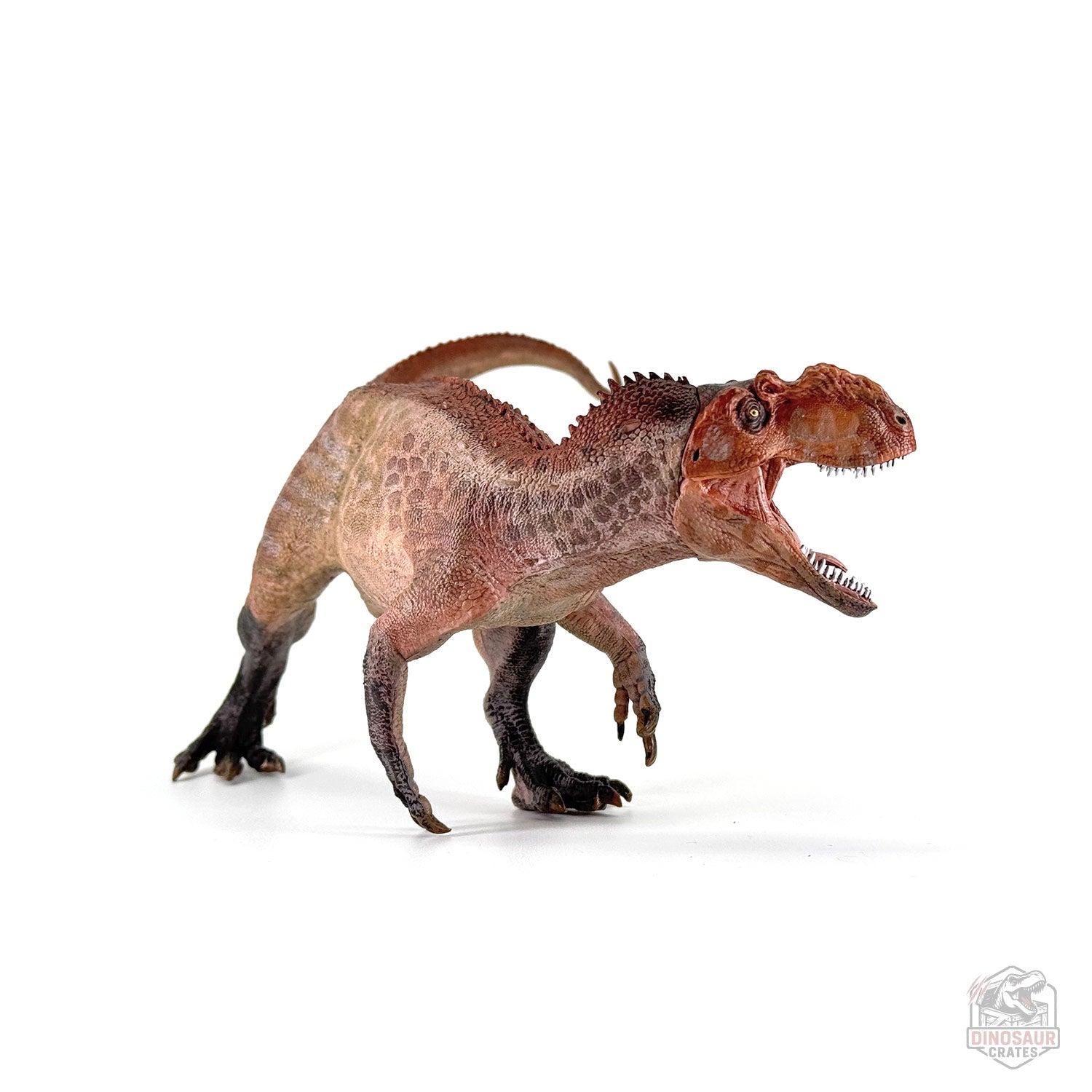 The Papo Collection – Dinosaur Crates
