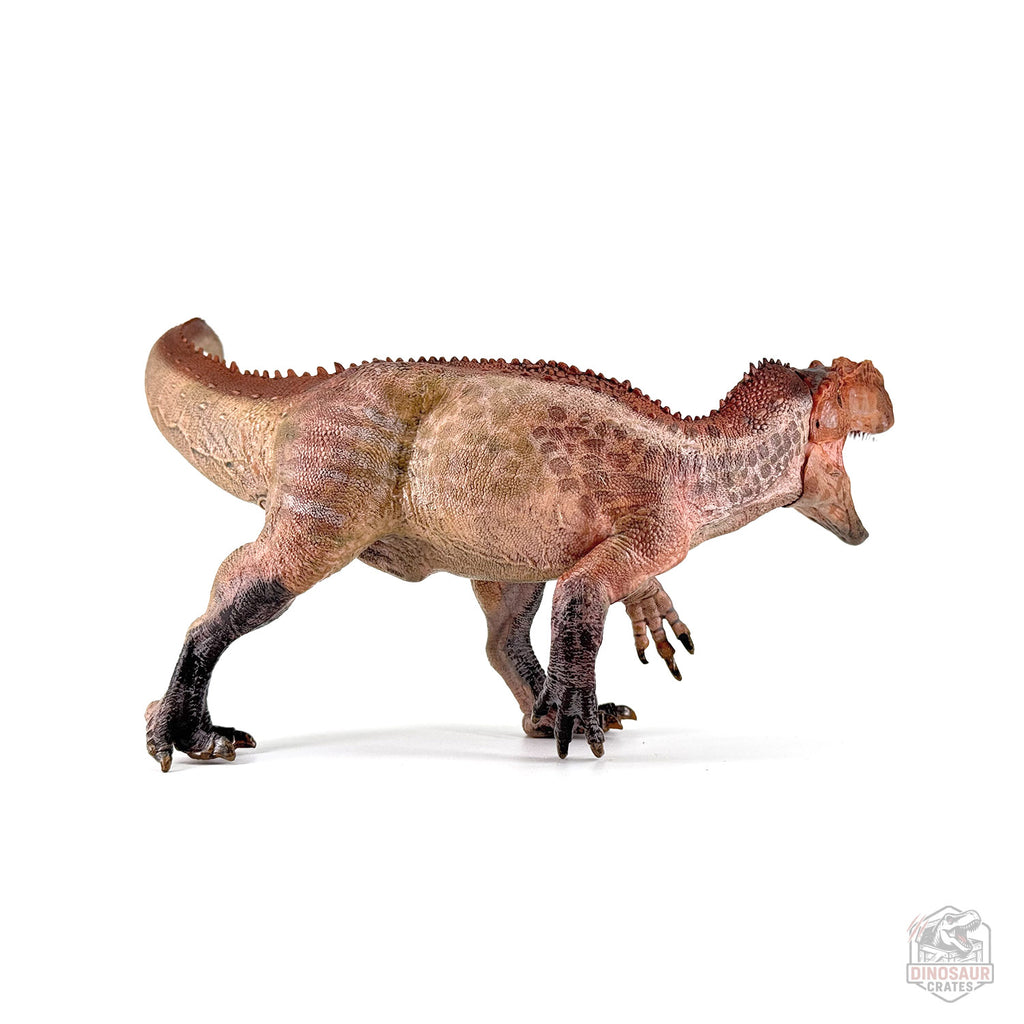 Papo Yangchuanosaurus  Dinosaur Figure