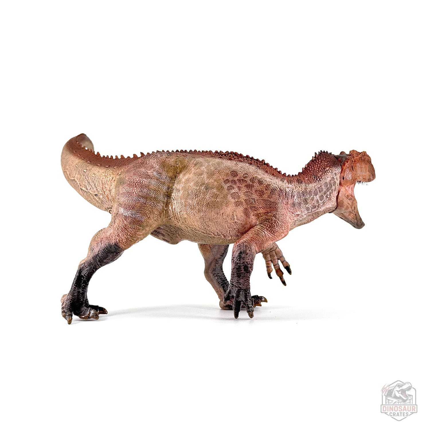 Papo Yangchuanosaurus  Dinosaur Figure