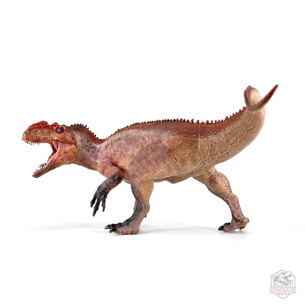 Papo Yangchuanosaurus  Dinosaur Figure