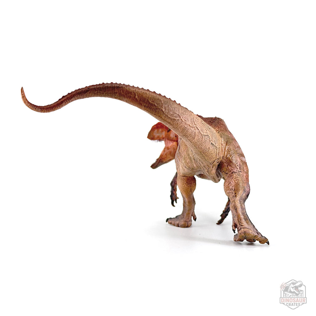 Papo Yangchuanosaurus  Dinosaur Figure