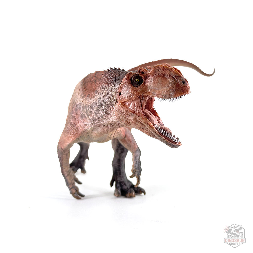 Papo Yangchuanosaurus  Dinosaur Figure