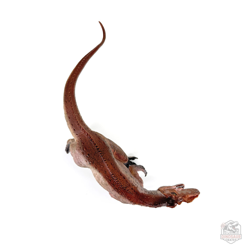 Papo Yangchuanosaurus  Dinosaur Figure