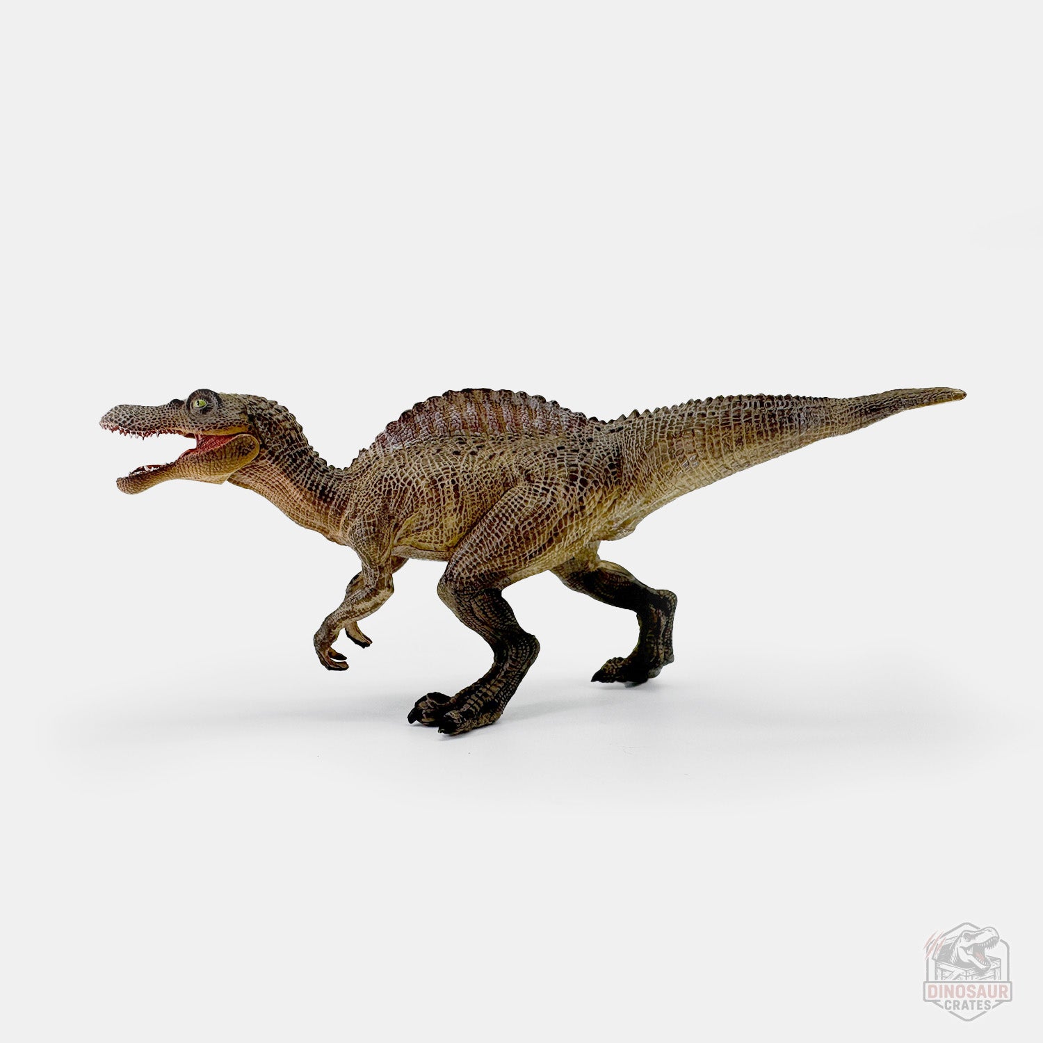Papo Young Spinosaurus Dinosaur Figure