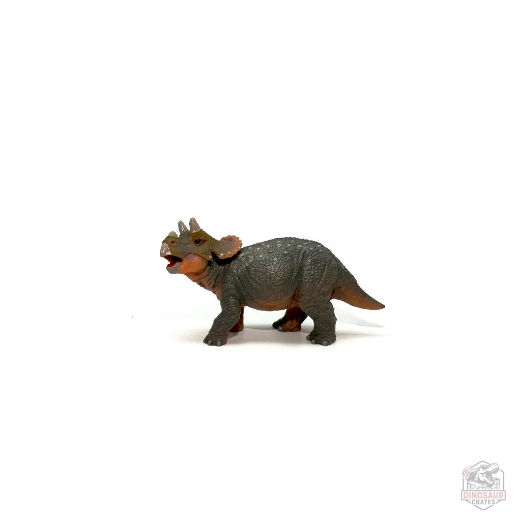 Papo Young Triceratops Dinosaur Figure