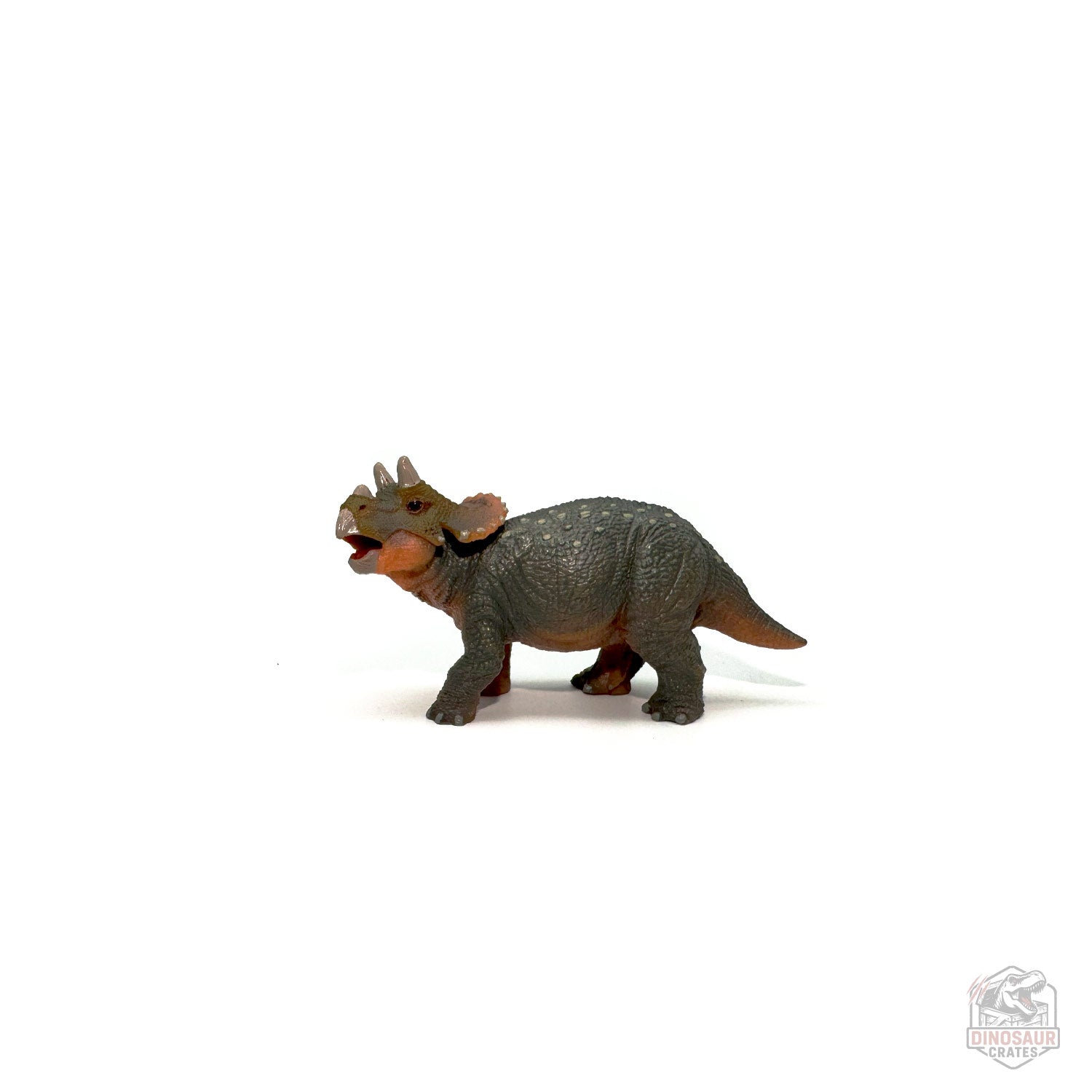 Papo Young Triceratops Dinosaur Figure