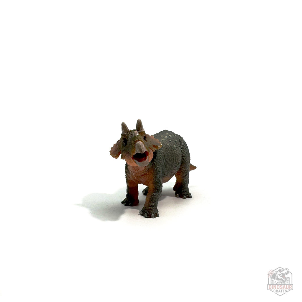 Papo Young Triceratops Dinosaur Figure