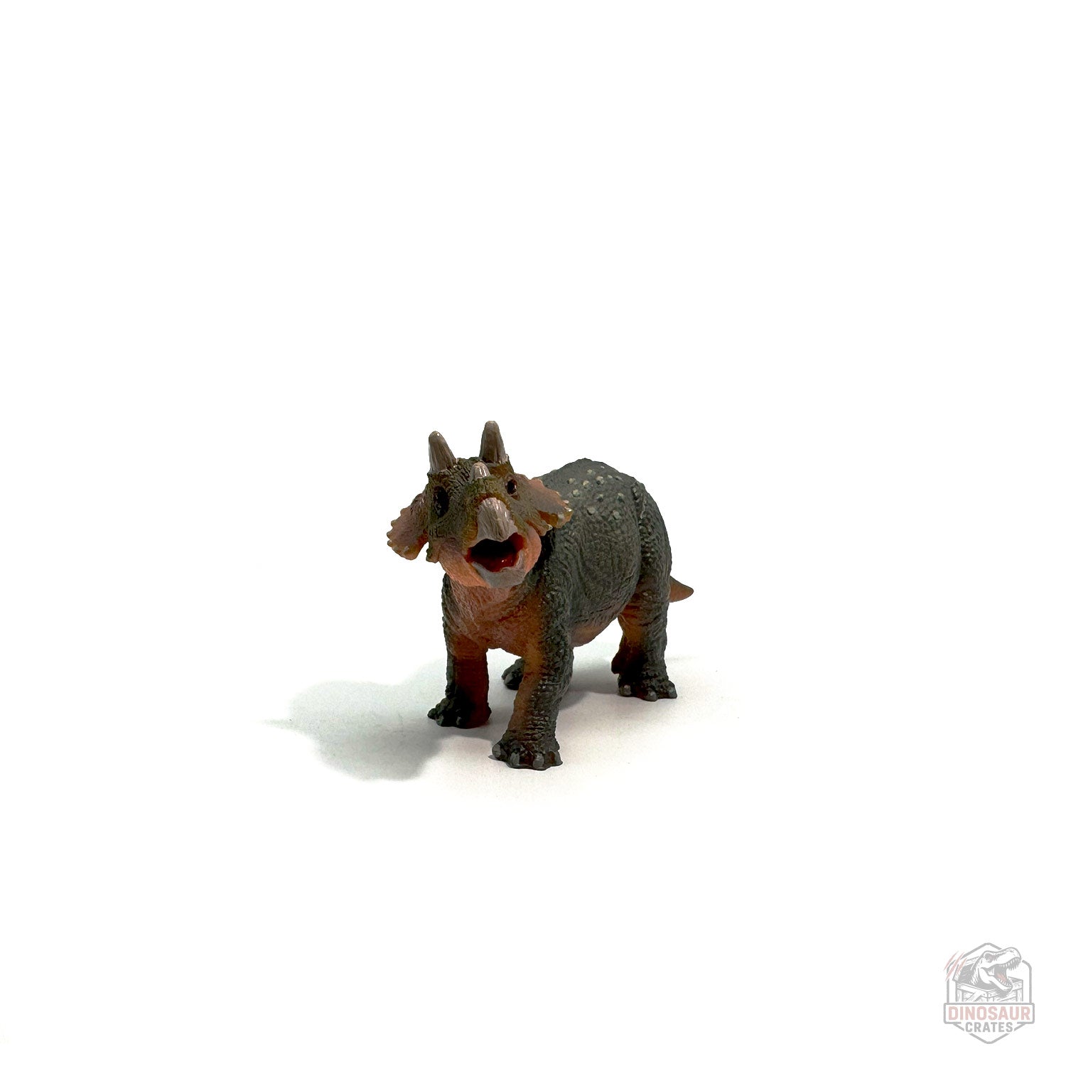 Papo Young Triceratops Dinosaur Figure
